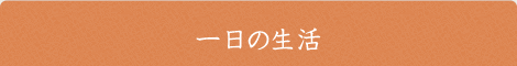 一日の生活