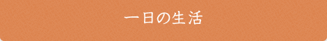 一日の生活