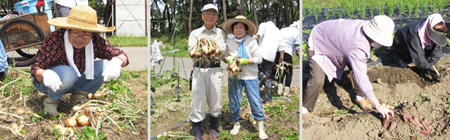 園内農園での収穫の様子